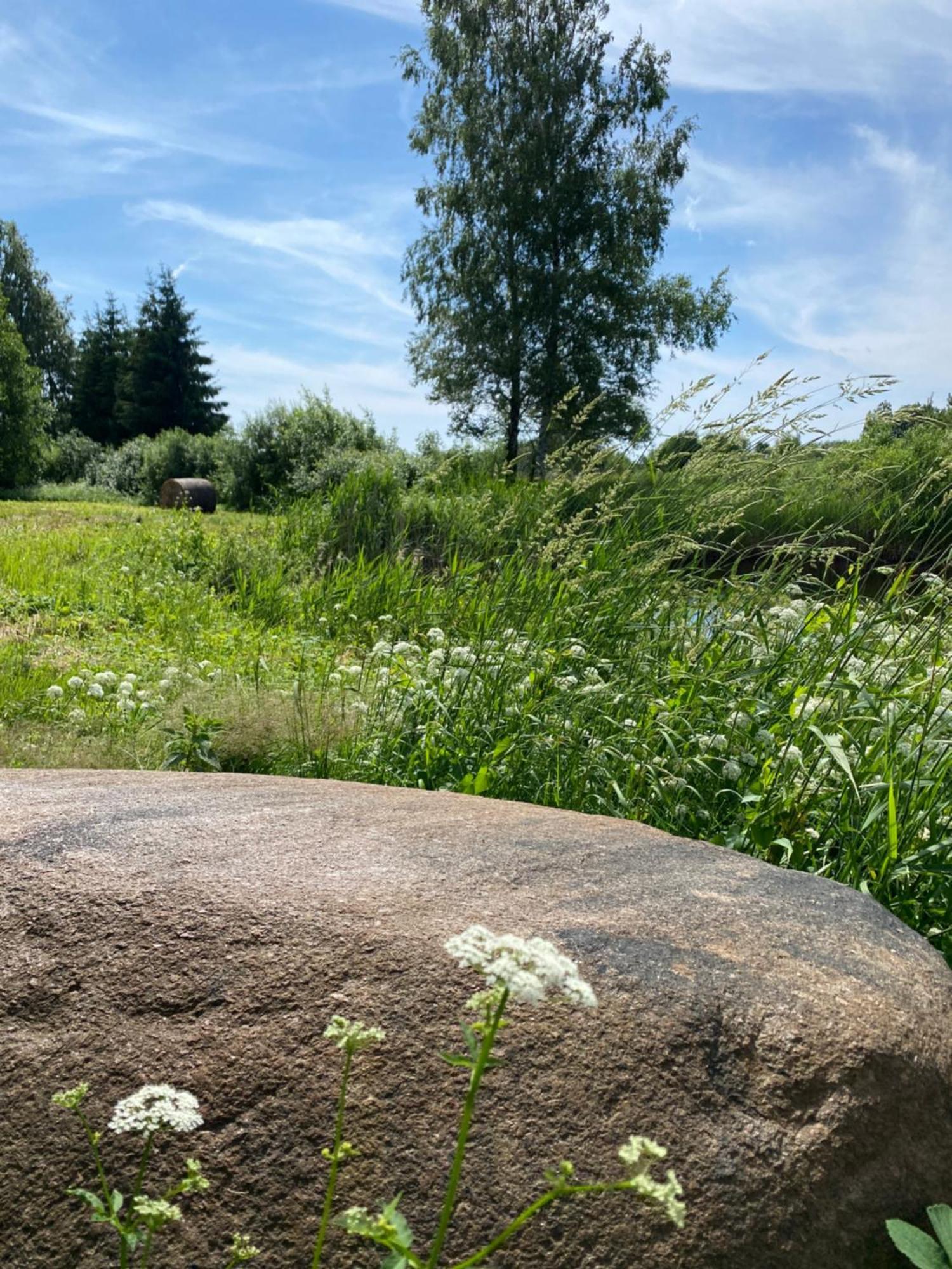 Suurkivi Nature Escape Häädemeeste 外观 照片