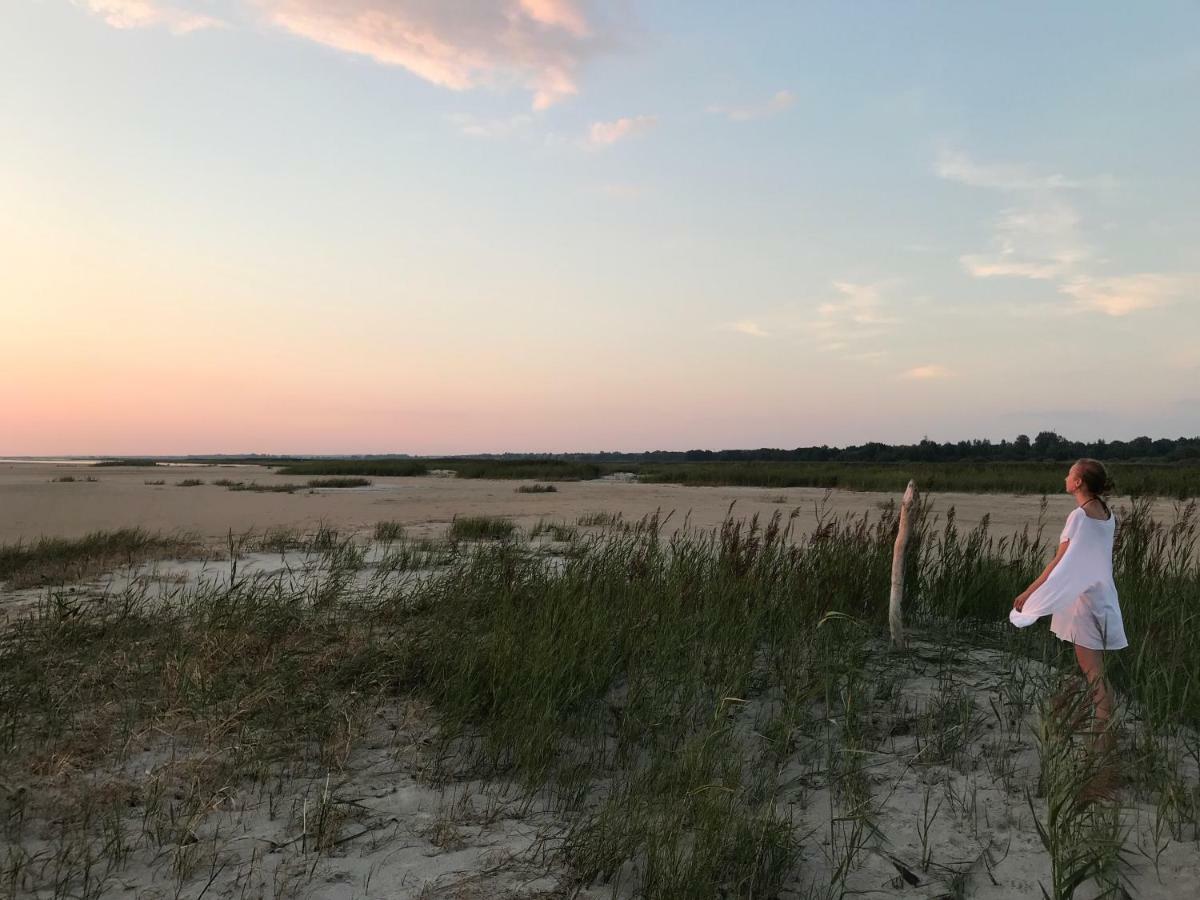 Suurkivi Nature Escape Häädemeeste 外观 照片