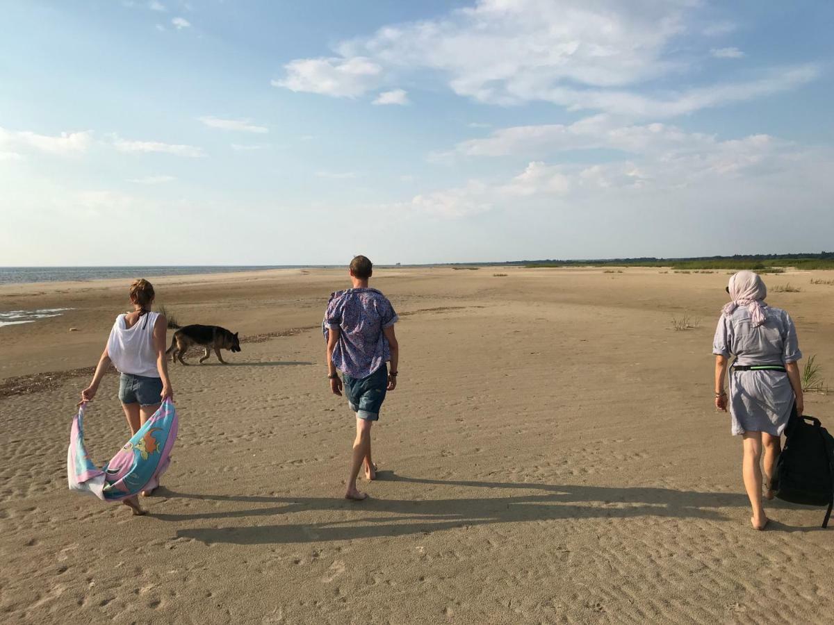 Suurkivi Nature Escape Häädemeeste 外观 照片