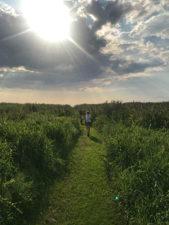 Suurkivi Nature Escape Häädemeeste 外观 照片